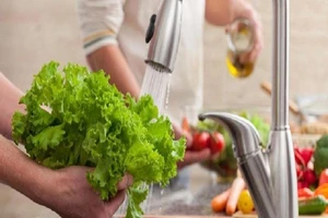 Rửa nước thông thường không hết được E.coli trên rau sống