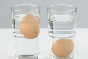 Mẹo nhận biết trứng tươi và trứng bị hỏng