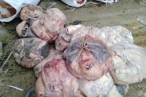 Yếu tố nào quyết định chất lượng nội tạng động vật?