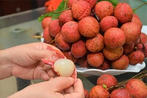 Thực hư quan niệm trái cây ăn vào gây nóng trong người 