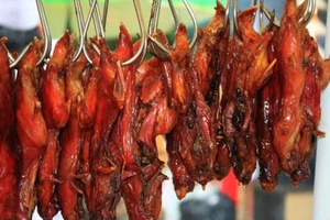 Cẩn trọng khi dùng chuột làm thức ăn