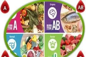Nhóm máu của bạn phù hợp với loại thực phẩm nào?