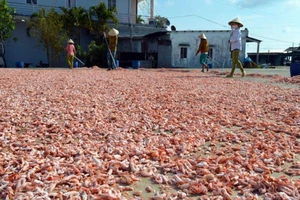 Phát hiện thủy hải sản khô kém chất lượng, báo ai?