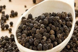 Myanmar sung công quỹ một số lô hồ tiêu Việt 