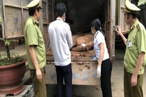 Tóm nhiều vụ bán lậu heo sang Trung Quốc