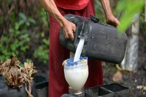 Ngộ độc rượu dừa: 11 người chết, 300 người nhập viện