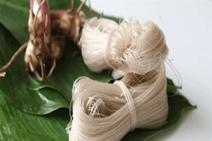 Mẹo lựa chọn miến dong an toàn cho ngày tết