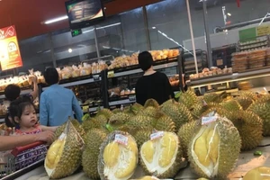 Nhận biết sầu riêng chín cây và sầu riêng nhúng thuốc