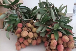 Những lưu ý quan trọng khi ăn quả vải