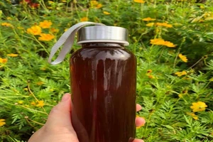 Tuyệt chiêu phân biệt mật ong thật và mật ong kém chất lượng