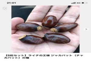 Chợ online quốc tế rao bán hạt vải thiều giá khủng