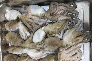 Cách chọn mua mực, bạch tuộc không bị tẩy trắng