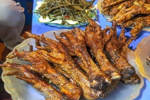 Ăn món chân gà lề đường coi chừng dính bệnh