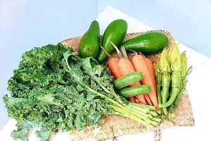 Tác dụng thần kỳ của cải xoăn, bạn đã biết?