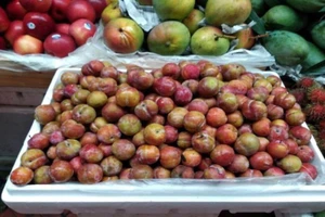 Mùa mận chín, ăn sao không để cơ thể bị nóng?