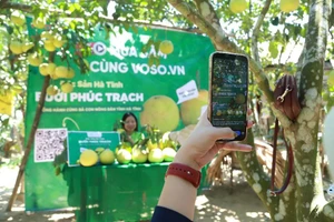 Bưởi Phúc Trạch thoát cảnh 'giải cứu' nhờ bán online