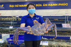 Phát hiện cua cực hiếm nhập vào VN, giá 100 triệu không bán