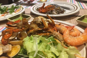 Mối liên hệ giữa tình trạng 'não cá vàng' và chế độ ăn uống, sinh hoạt