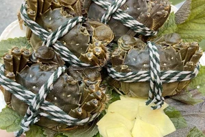 Cua nhập khẩu giá tiền triệu vẫn đắt hàng tại TP.HCM