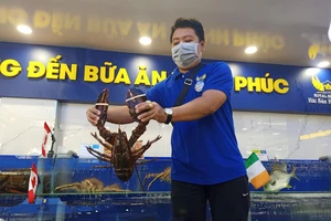 Tôm hùm Úc, cua hoàng đế Hàn Quốc... hút khách Việt