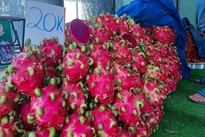 Tắc đường sang Trung Quốc, thanh long rớt giá