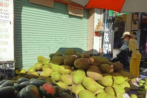 Xoài, mít, dưa hấu...đại hạ giá