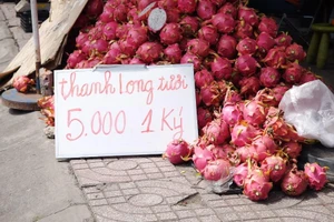 Giá thanh long rớt thảm, đổ đống bên lề đường