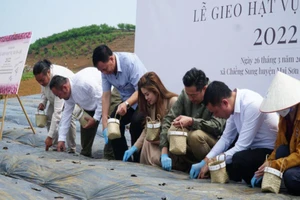 Trồng hơn 1000 ha đậu đỏ hữu cơ để xuất khẩu sang Nhật Bản