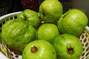 Những loại trái cây giàu vitamin C hơn cả cam, quýt