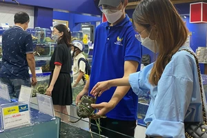 Giá cua gạch miền Tây tăng cao