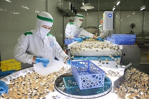 Người Bỉ, Hà Lan... thích ăn nghêu hấp nguyên con, sốt bơ của Việt Nam