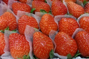 Rau củ sẽ nhanh hư hỏng nếu bạn mắc sai lầm này 