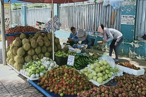 Bơ 034 dội chợ, giá thấp kỷ lục