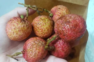 Thực hư về trào lưu mẹo ăn vải không lo bị nóng trên TikTok