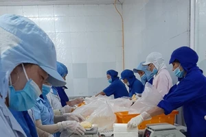 Các điều kiện để xuất khẩu chính ngạch sầu riêng sang Trung Quốc