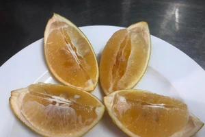 Cơ thể mệt mỏi, thiếu năng lượng cần ăn ngay loại rau củ này