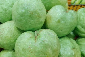 Những thực phẩm rất cần cho người bị đậu mùa khỉ