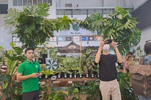 Cây kiểng lá giá hàng trăm triệu đồng quy tụ tại hội chợ lớn nhất Việt Nam