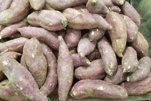 Đàn ông bước vào tuổi trung niên nên dùng những thực phẩm này để giữ phong độ