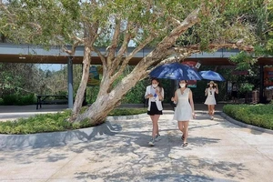 Sắp diễn ra Hội chợ Du lịch trực tuyến Bà Rịa - Vũng Tàu 2022