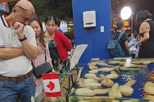 Ốc vòi voi vàng Canada nặng 2 kg, giá 2,5 triệu đồng/kg bán tốt mùa tết