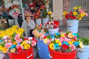 Ngày vía Thần Tài, hoa đồng tiền tăng giá gấp 5 lần, thiếu hàng