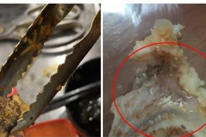 Bị tố món ăn có giòi, chuỗi BBQ tại TP.HCM lên tiếng đính chính?