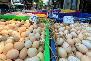 Cảnh giác với chiêu trò giải cứu trứng gà