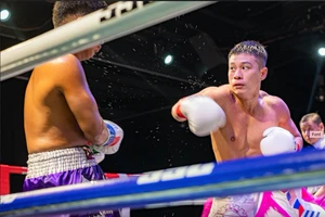 Chiếc đai bạc WBC châu Á lần đầu được tranh tại Việt Nam có thuộc về võ sĩ Việt?