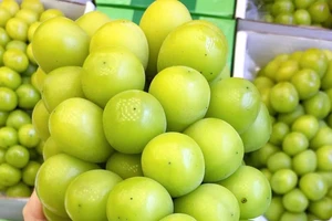 Nho mẫu đơn Trung Quốc ồ ạt về chợ