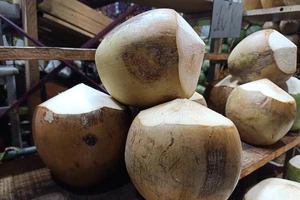 Uống dừa mỗi ngày, chuyện gì xảy ra?