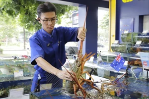 Tôm hùm Đông Úc lần đầu xuất hiện: Giá ‘chát’ nhưng được yêu thích