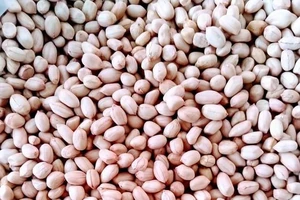 Ăn 7 hạt đậu phộng mỗi ngày, chuyện gì xảy ra?