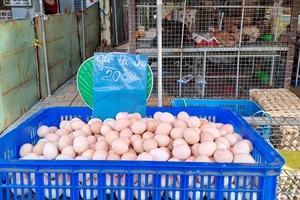 Rửa trứng trước khi bảo quản trong tủ lạnh: Có cần thiết?